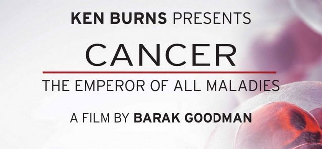 Cancer: l'empereur de toutes les maladies jour de libération est le 1 avril 2015 Photo
