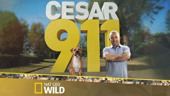 Cesar saison 911 3 date de sortie