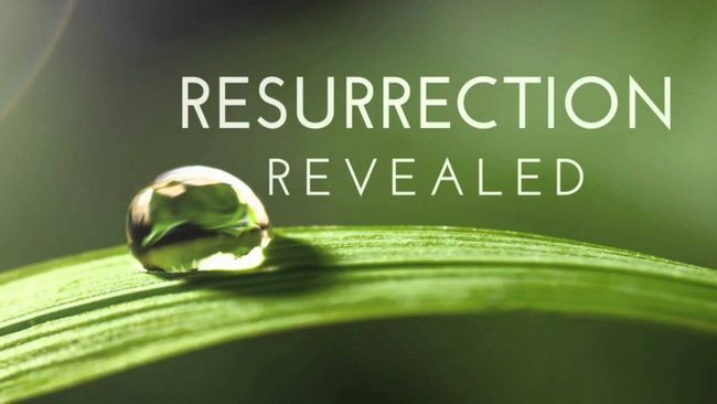 Saison de la Résurrection 3 Date de sortie - annulé Photo