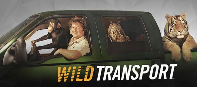 Saison des Transports Wild 2 date de sortie