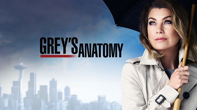 l'anatomie de Grey est encore à renouveler pour la saison 13 Photo
